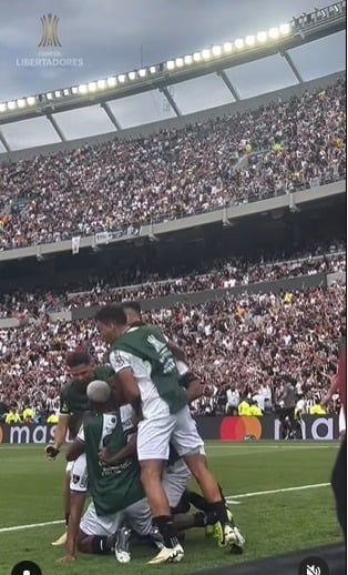 Botafogo derrota Atlético-MG e é campeão da Libertadores pela primeira vez