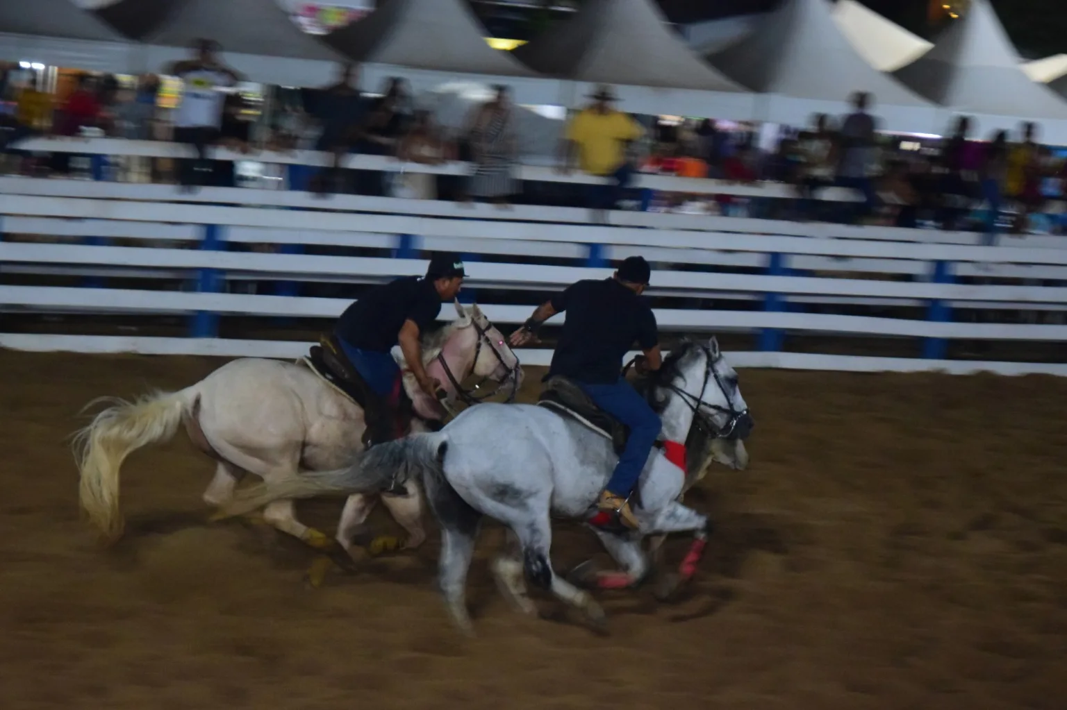 Final dos torneios de Vaquejada acontece neste sábado na Expoferr