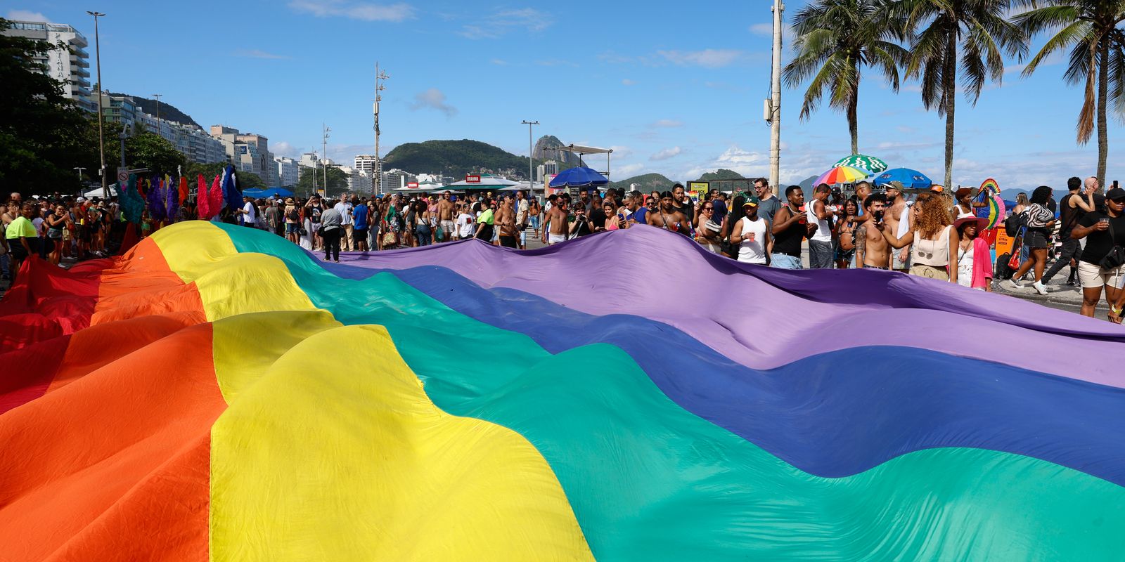 Parlamentares e organizadores pedem recursos para Parada LGBTI+ do Rio