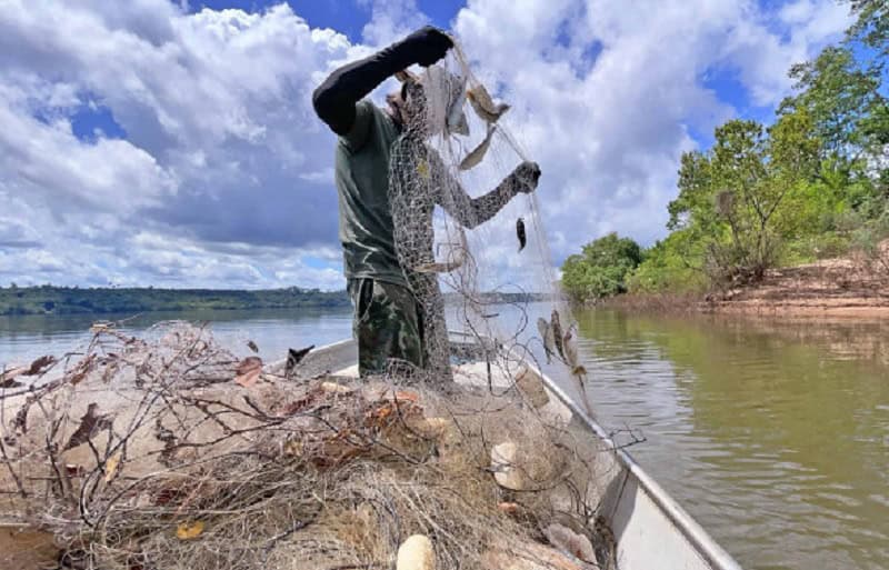 Prazo para recadastramento no Registro Geral de pescadores e pescadoras profissionais encerra em dezembro