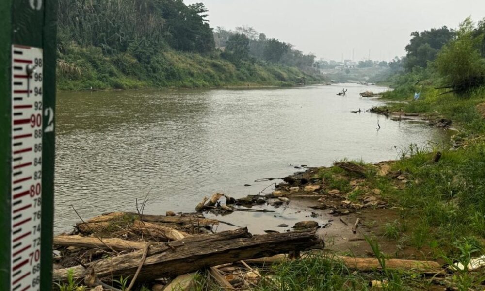 Seca na Amazônia acreana será mais intensa nos próximos anos, aponta estudo