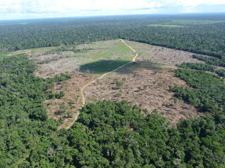 Taxa de desmatamento cai 30% na Amazônia, segundo o Inpe