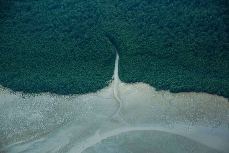 Ibama aprova plano da Petrobras sobre fauna na Foz do Amazonas