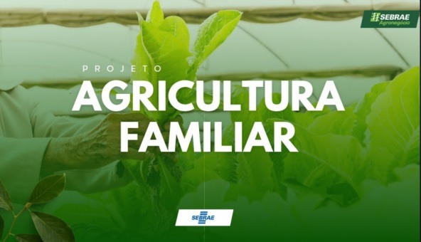 Feira da Agricultura Familiar retorna ao Espaço Sebrae Roraima a partir de 7 de junho